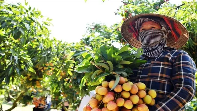 Bộ Thông tin Truyền thông góp sức marketing nông sản Việt